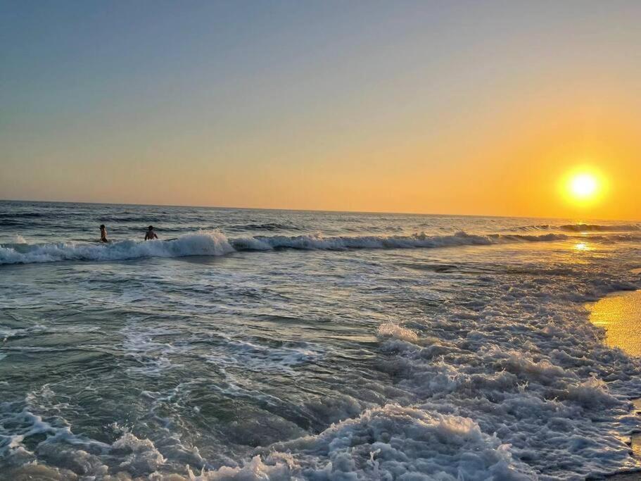 Oceanfront/Zero Steps To Beach/Views/4Br 굴프 쇼어스 외부 사진
